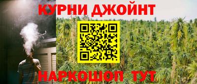 apvp Нальчик