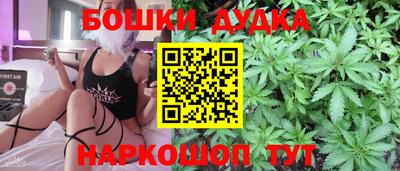 apvp Нальчик