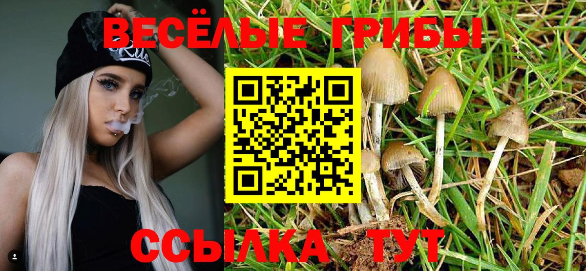 Псилоцибиновые грибы Cubensis Электросталь